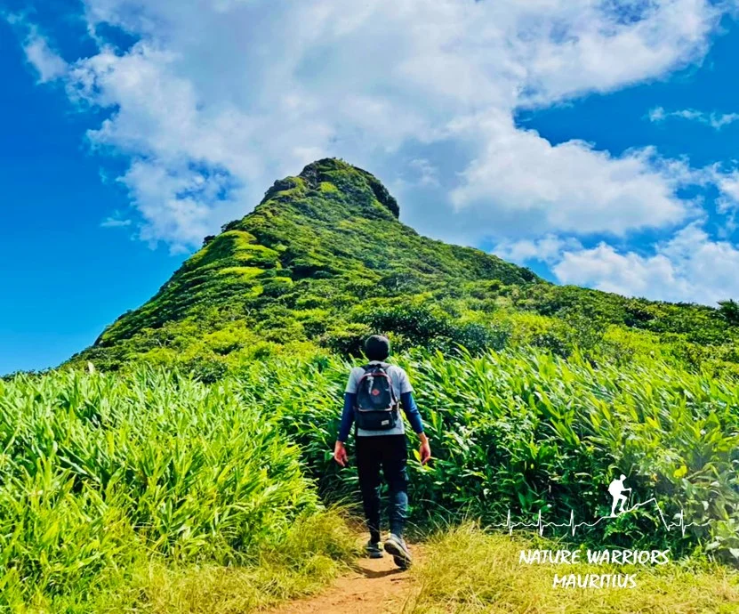 Le Morne Brabant Hike
